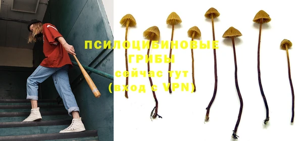 винт Михайловск