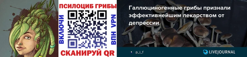 Купить закладки  Тавда  Псилоцибиновые грибы MAGIC MUSHROOMS 